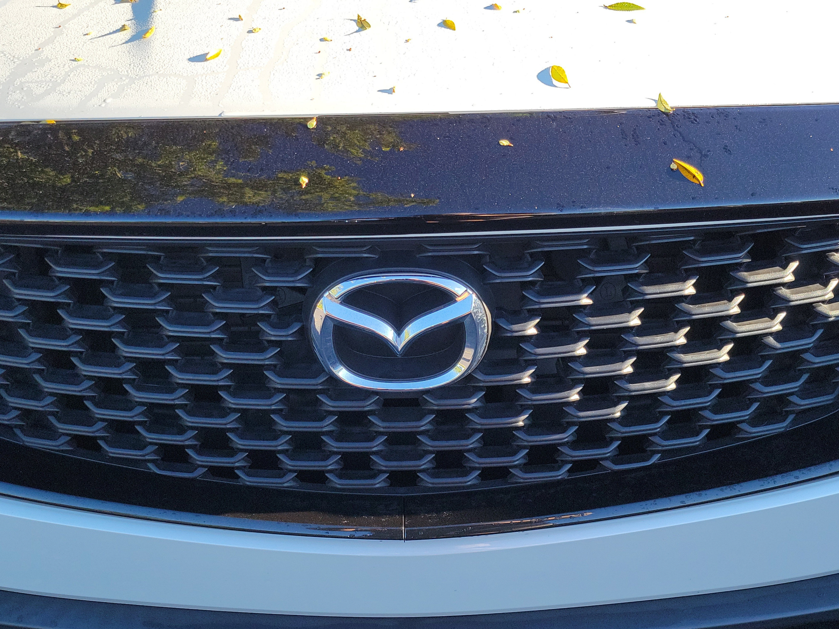 Used 2023 MAZDA CX-50 2.5 S w/ Cargo Package AWD/4WD image 11