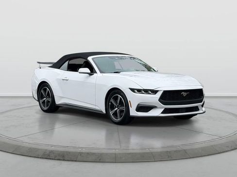Used 2024 Ford Mustang Premium RWD image 1