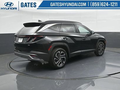 New 2026 Hyundai Tucson Limited