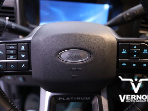 New 2026 Ford F250 Platinum w/ Tremor Off-Road Package image 21