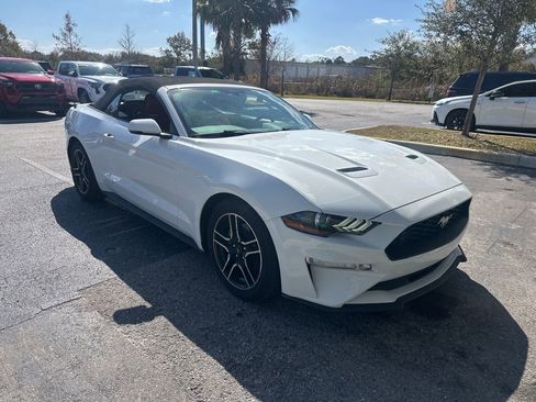 Used 2018 Ford Mustang Premium w/ Equipment Group 201A image 6