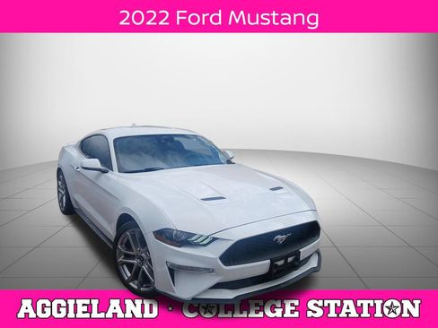Used 2022 Ford Mustang Premium w/ Equipment Group 201A RWD image 1