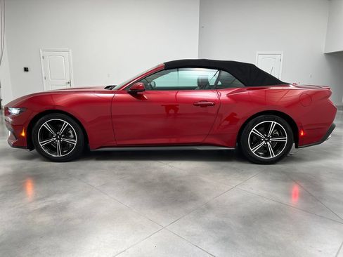 Used 2024 Ford Mustang Premium RWD image 5