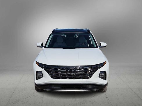 Used 2024 Hyundai Tucson Limited image 3