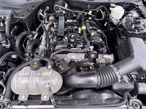 Used 2023 Ford Mustang Coupe w/ Equipment Group 101A RWD image 15