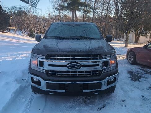 Used 2019 Ford F150 XLT w/ Equipment Group 302A Luxury image 2