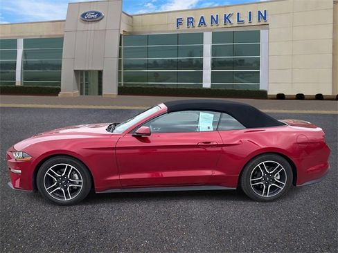Used 2022 Ford Mustang Convertible w/ Equipment Group 101A image 4