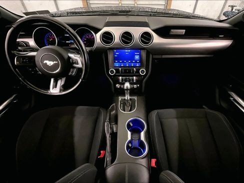 Used 2019 Ford Mustang GT w/ Equipment Group 301A RWD image 14