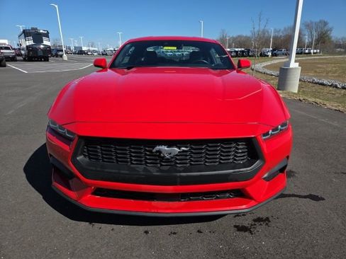 Used 2024 Ford Mustang Premium RWD image 3
