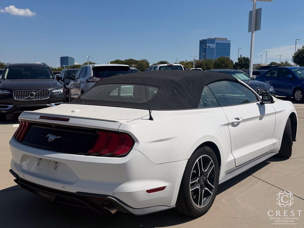 Used 2020 Ford Mustang Premium RWD image 8
