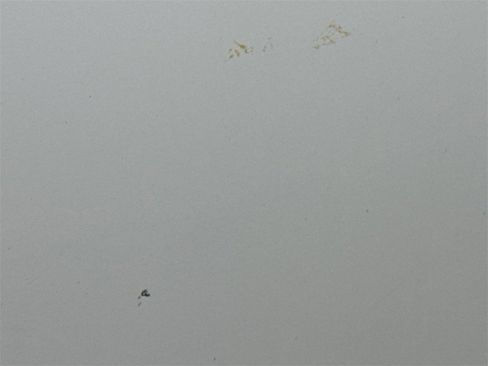 Used 2002 Ford F150 Lariat image 29