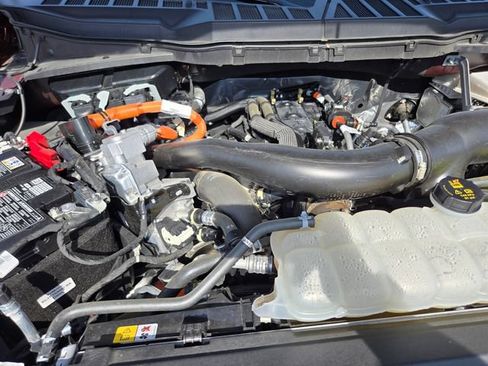Used 2025 Ford F150 XLT w/ Equipment Group 301A Standard AWD/4WD image 22