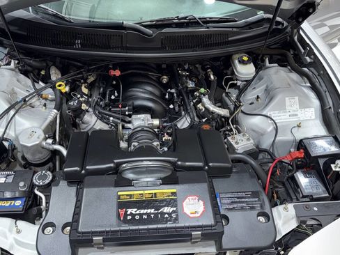 Used 2002 Pontiac Firebird Trans Am image 3