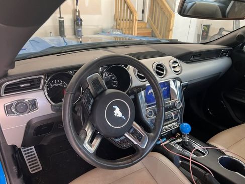 Used 2017 Ford Mustang Premium w/ Enhanced Security Package image 5