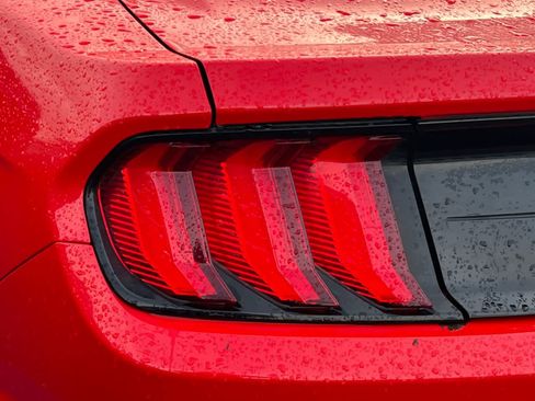 Used 2021 Ford Mustang EcoBoost image 15