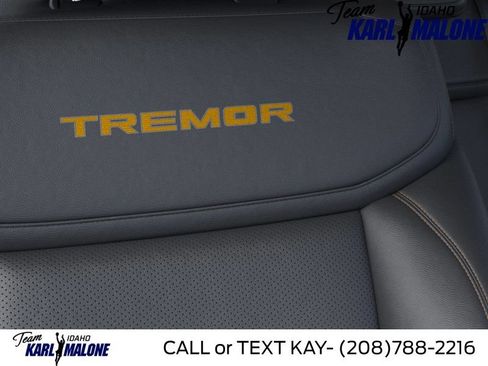 New 2026 Ford Expedition Tremor AWD/4WD image 16