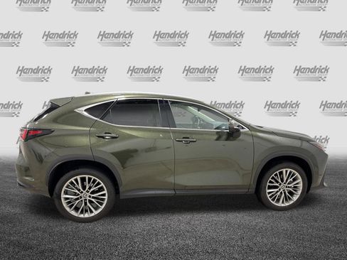 Used 2025 Lexus NX 350h AWD w/ Accessory Package (2T) image 11