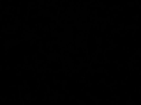 Used 2018 Ford Escape SE image 22