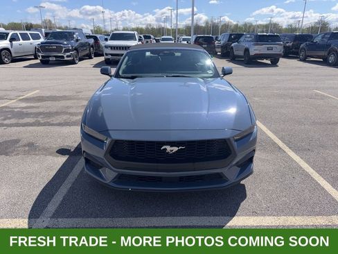 Used 2025 Ford Mustang Premium image 2