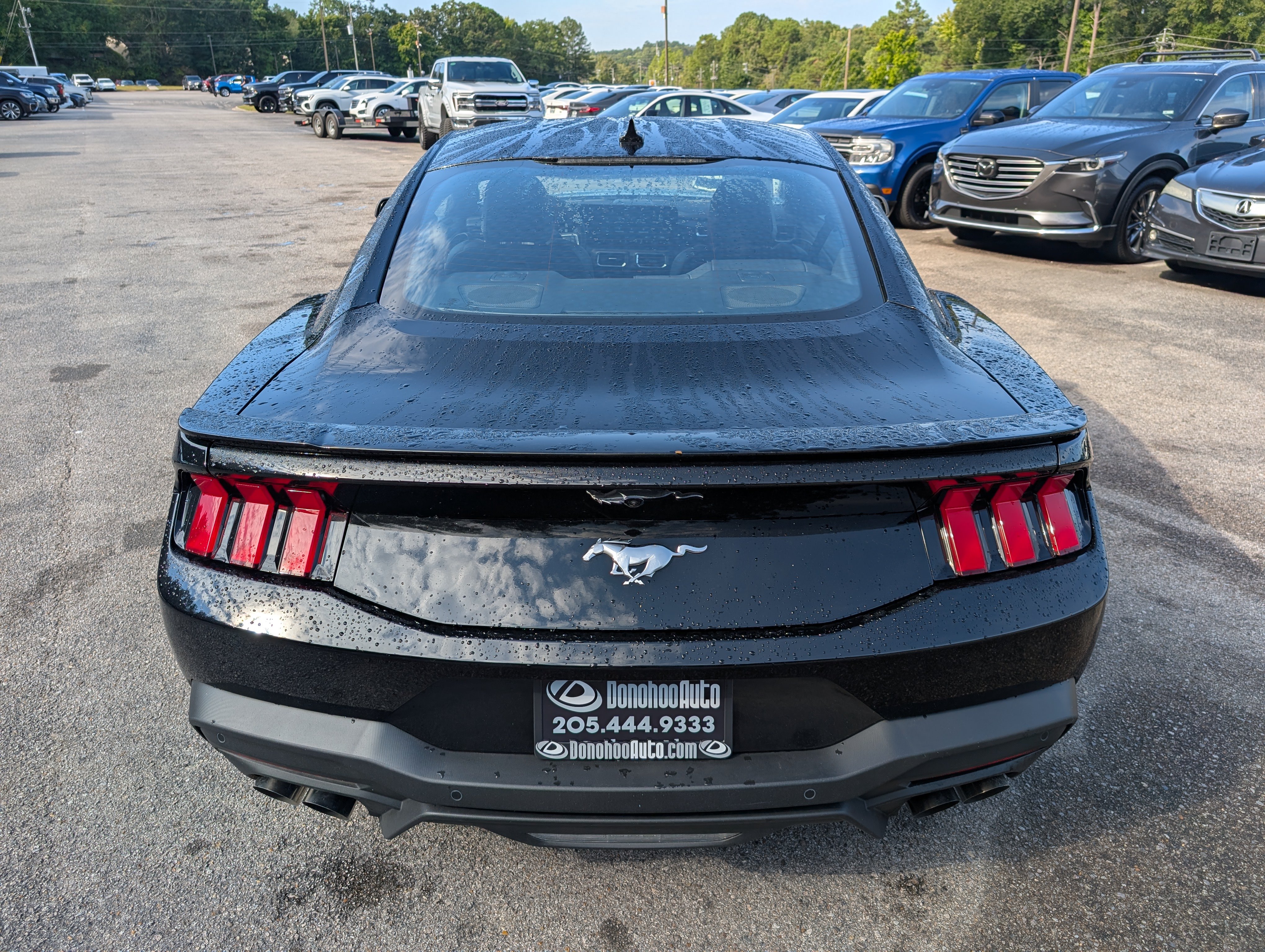 Used 2026 Ford Mustang Premium RWD image 8