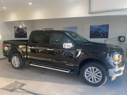 New 2025 Ford F150 XLT w/ Equipment Group 303A High