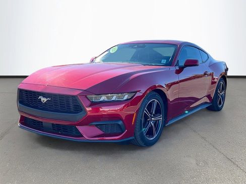 Used 2024 Ford Mustang Premium image 3