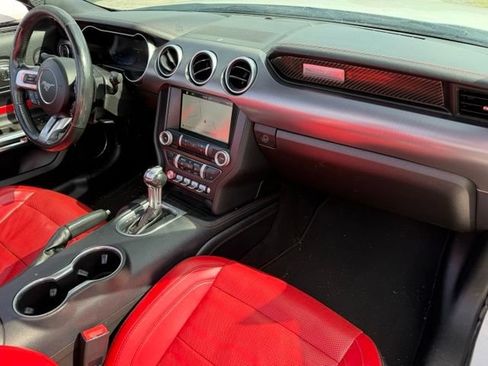 Used 2019 Ford Mustang GT Premium w/ Equipment Group 401A RWD image 6