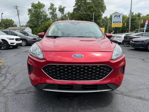 Used 2020 Ford Escape SE FWD image 8