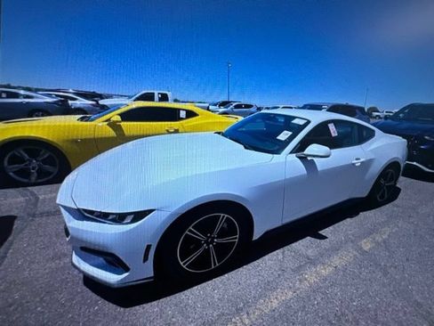 Used 2024 Ford Mustang Premium RWD image 2