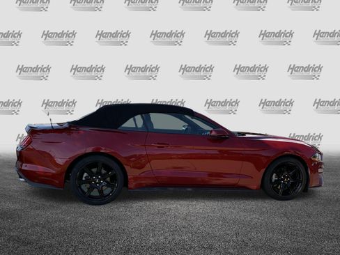 Used 2019 Ford Mustang Premium w/ Equipment Group 201A RWD image 11