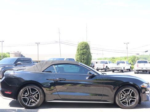 Used 2018 Ford Mustang Premium w/ Equipment Group 201A RWD image 5