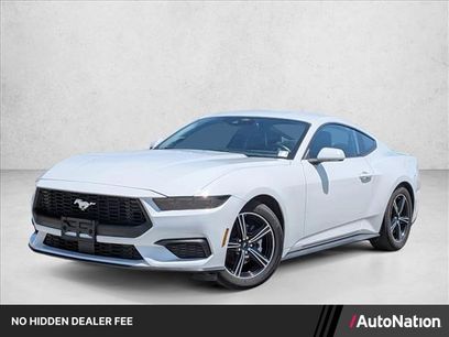 Used 2025 Ford Mustang Premium
