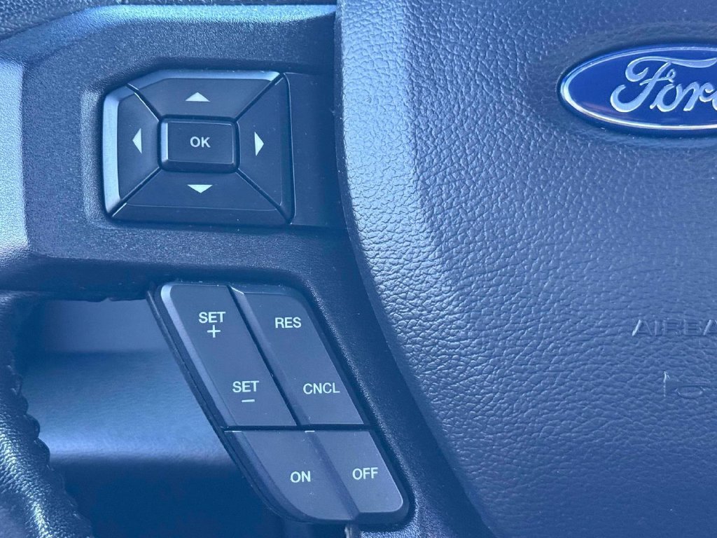 Used 2018 Ford F150 XLT w/ Equipment Group 302A Luxury AWD/4WD image 19