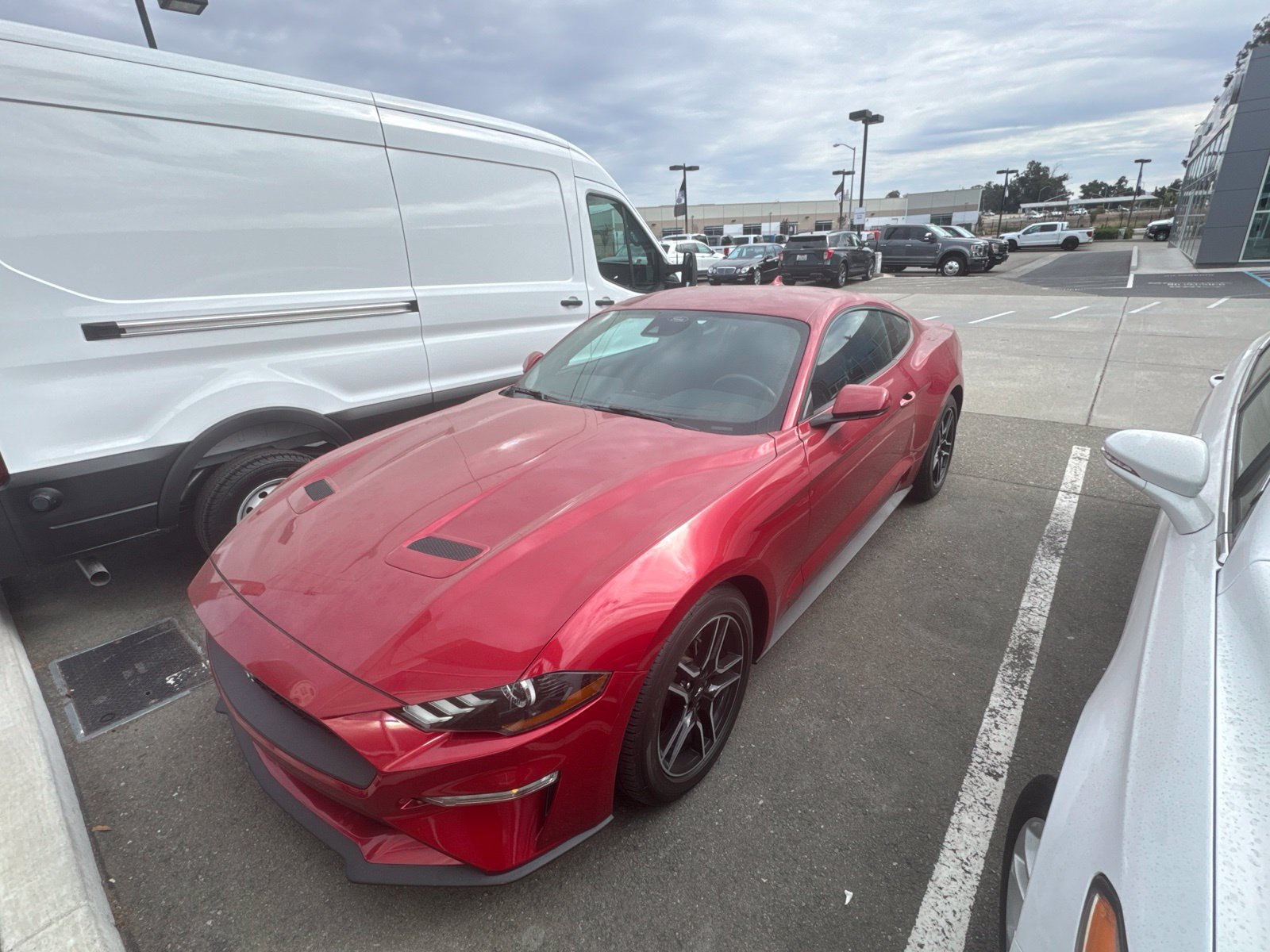 Used 2022 Ford Mustang Coupe w/ Equipment Group 101A RWD image 1