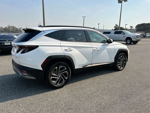 New 2026 Hyundai Tucson Limited image 6