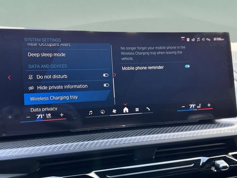 Used 2025 BMW XM image 19