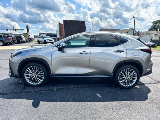 Used 2025 Lexus NX 350h AWD w/ Cold Area Package image 4