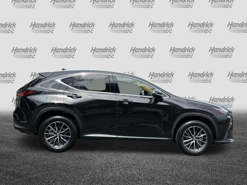 Certified 2025 Lexus NX 350 AWD w/ Cold Area Package image 3