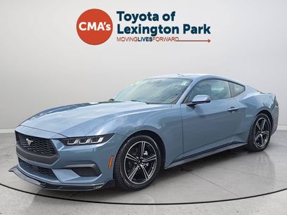 Used 2024 Ford Mustang Premium