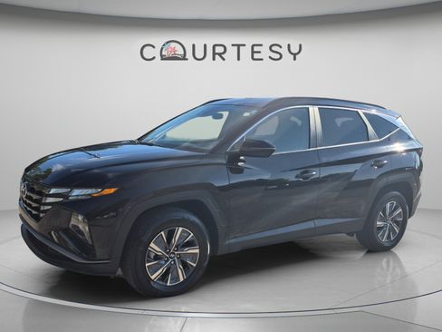 Used 2023 Hyundai Tucson Blue AWD/4WD image 1