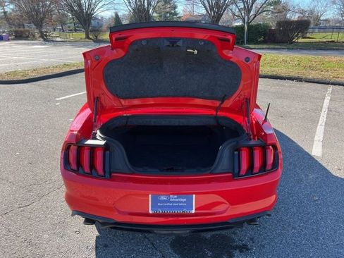 Certified 2019 Ford Mustang Premium w/ Equipment Group 201A image 37