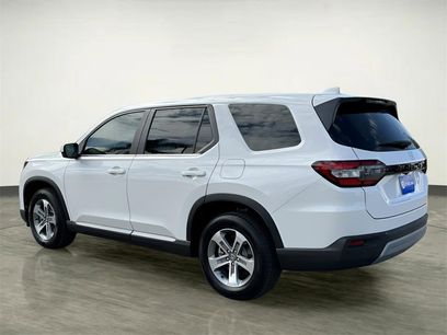 New 2025 Honda Pilot EX-L