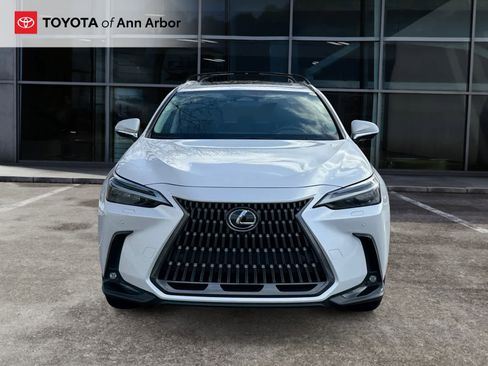 Used 2024 Lexus NX 300h AWD w/ Luxury Package image 14