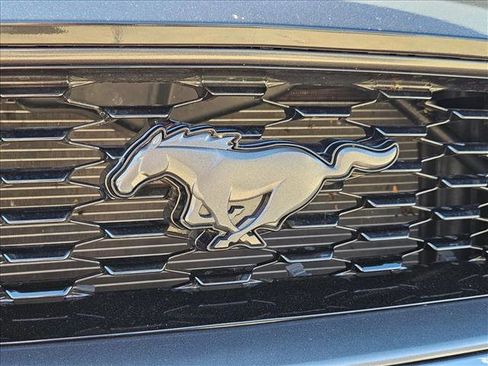 Used 2023 Ford Mustang Mach 1 image 5