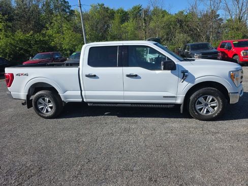 Used 2021 Ford F150 XLT w/ Equipment Group 301A Mid AWD/4WD image 2
