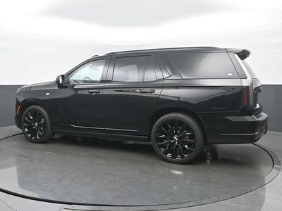 Certified 2026 Cadillac Escalade Platinum Sport w/ LPO, ONYX Package