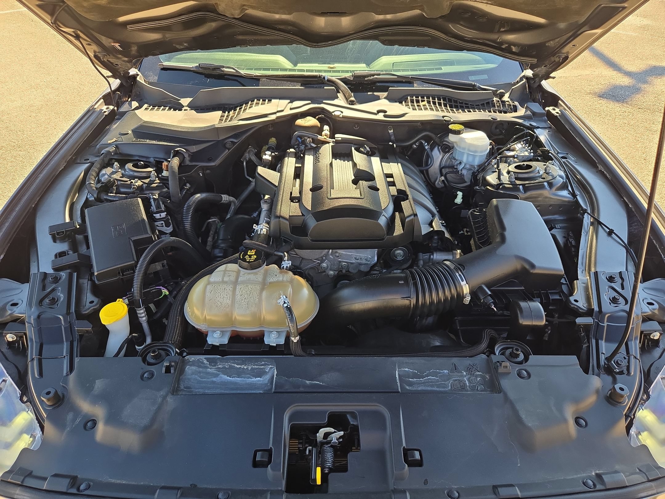 Used 2018 Ford Mustang Coupe RWD image 31