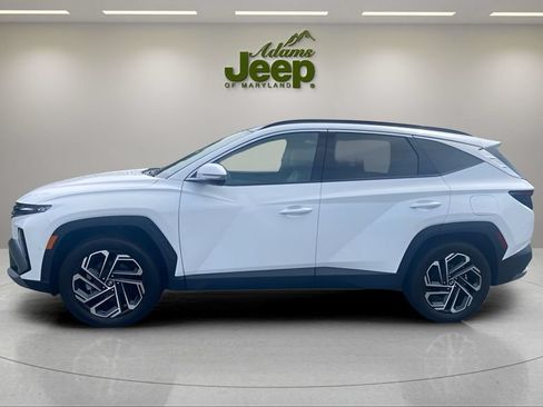 Used 2025 Hyundai Tucson Limited AWD/4WD image 3