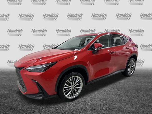 Used 2025 Lexus NX 350h AWD w/ Cold Area Package image 5