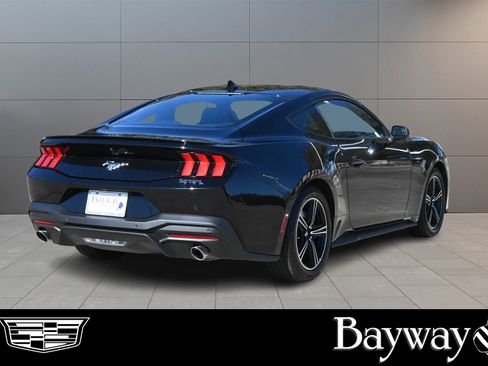 Used 2024 Ford Mustang Premium image 5